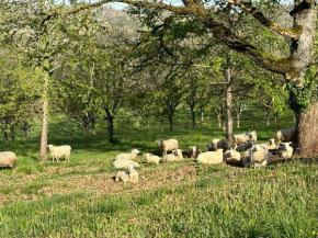 Domaine la Noyeraie Périgord Noir